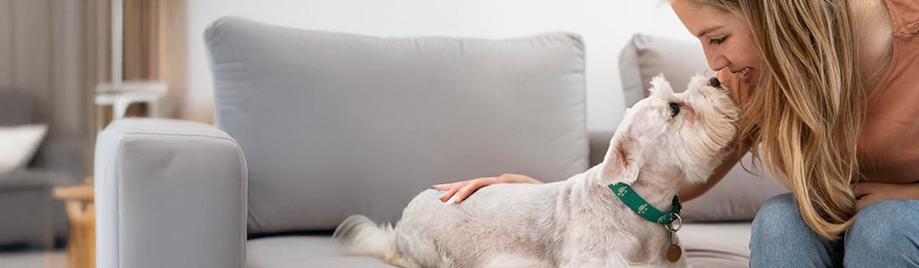 pt banner dog 2 opt